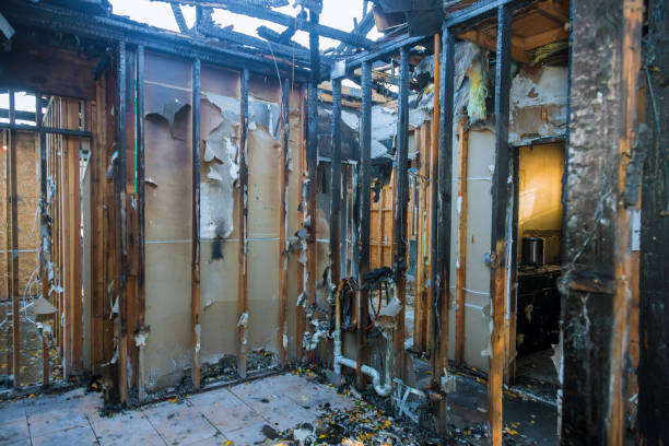 Professional Smoke Damage Removal technician working in Towson, MD