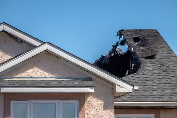 Top rated local Smoke Damage Removal specialists in Towson, MD